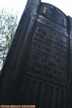 IMG_ (10104)